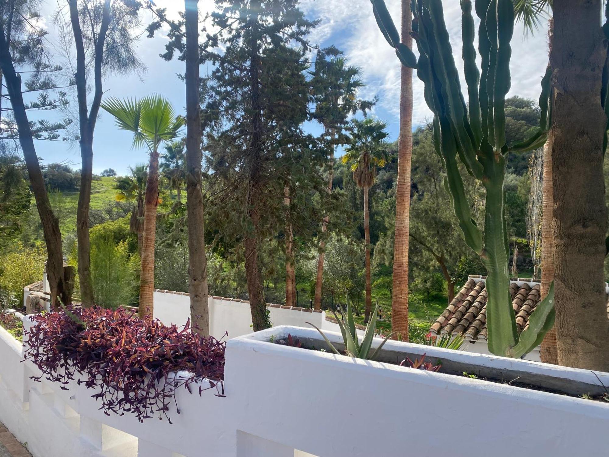 Malaga Sierra De Las Nieves By Real Spain Hotels Adults Recommended Casarabonela Luaran gambar