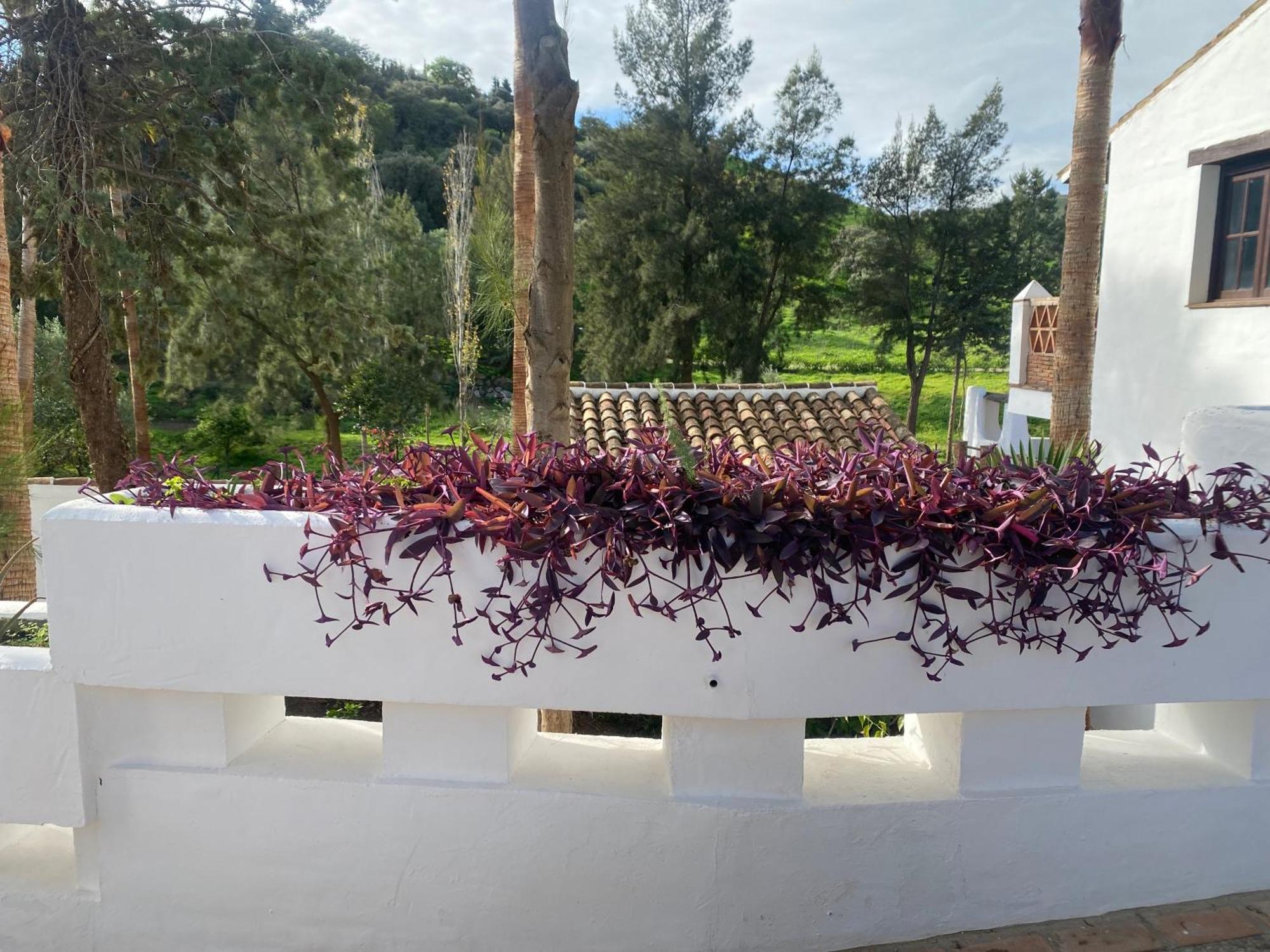 Malaga Sierra De Las Nieves By Real Spain Hotels Adults Recommended Casarabonela Luaran gambar